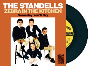 Standells ,The - Zebra In The Kitchen + 1 ( limited )
